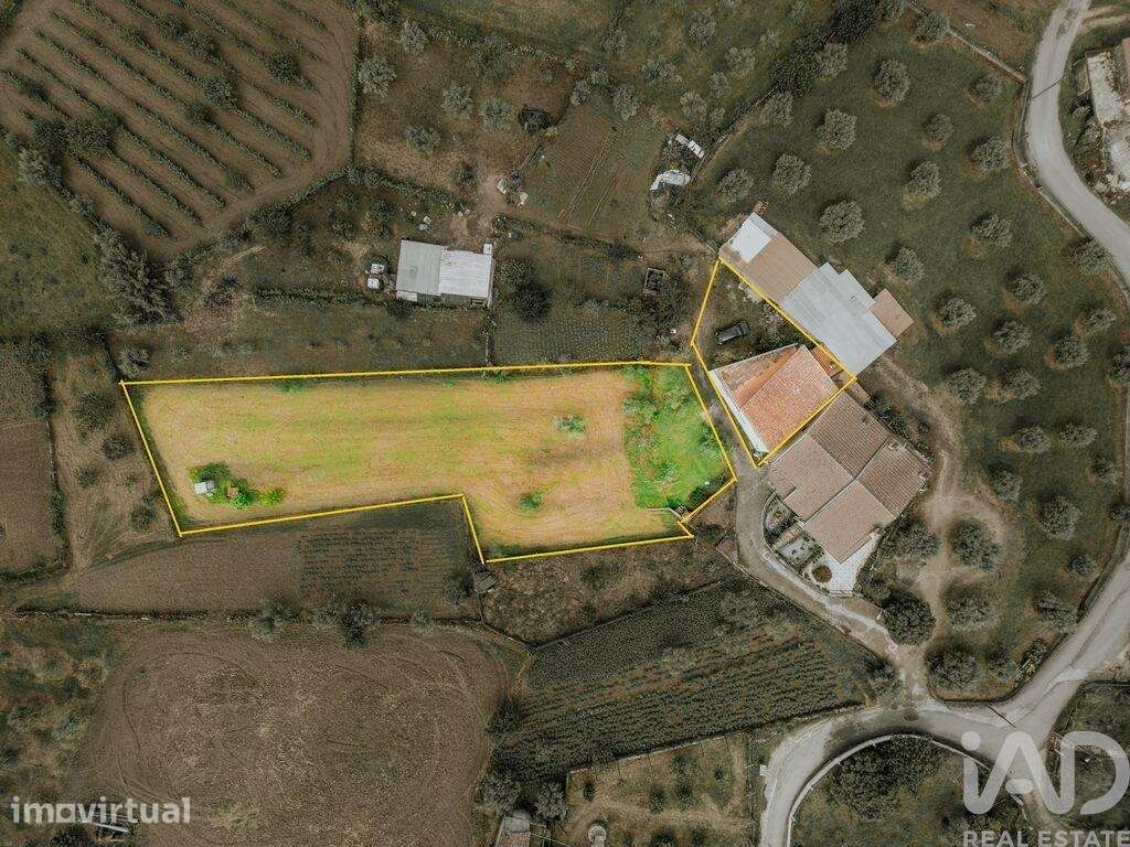 Moradia isolada T2 em Ázere e Covelo de 130 m2 - Grande imagem: 2/21