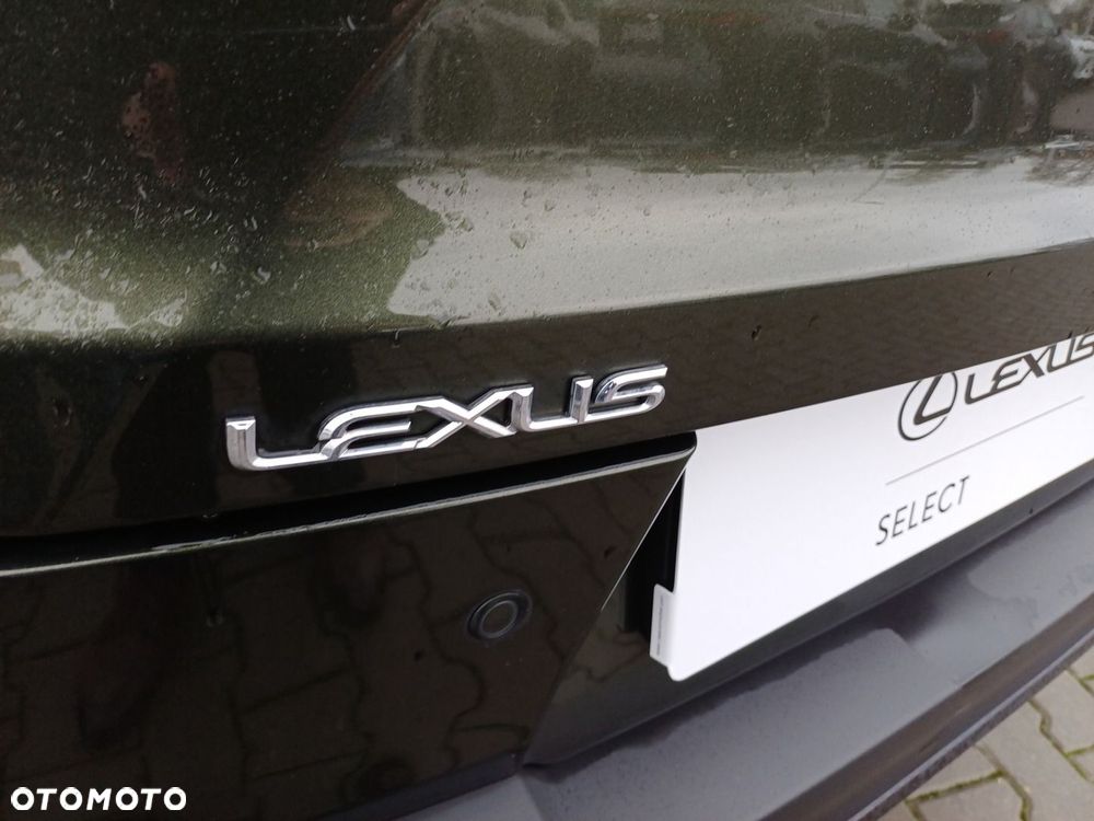 Lexus UX 250h GPF F Sport Design 2WD - 9