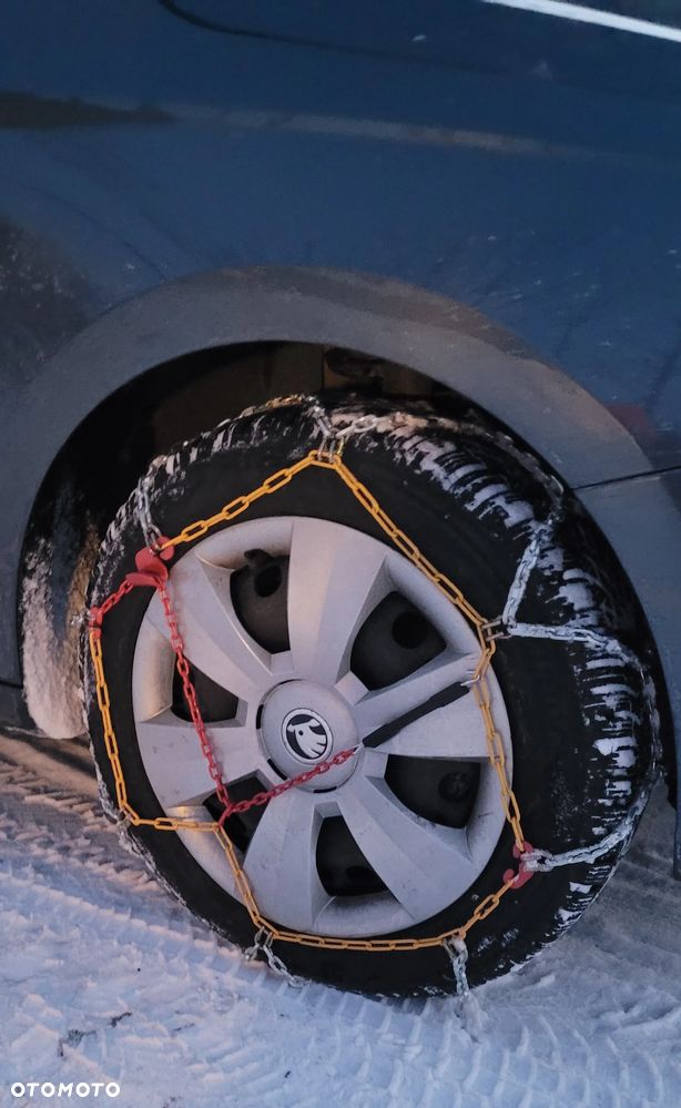 Skoda Fabia 1.4 TDI Ambition - 10