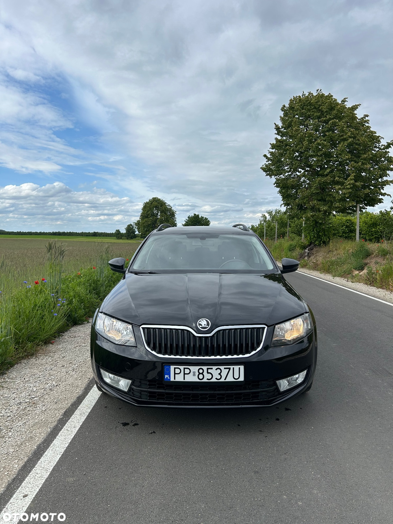 Skoda Octavia 1.4 TSI Active - 7
