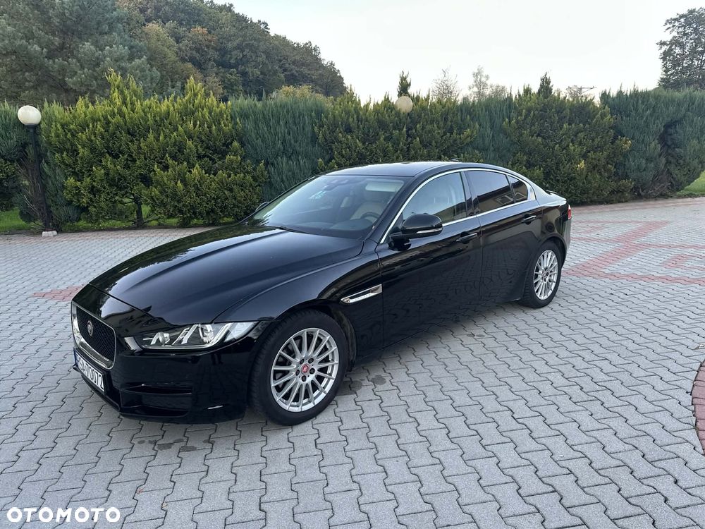Jaguar XE E-Performance Pure - 5