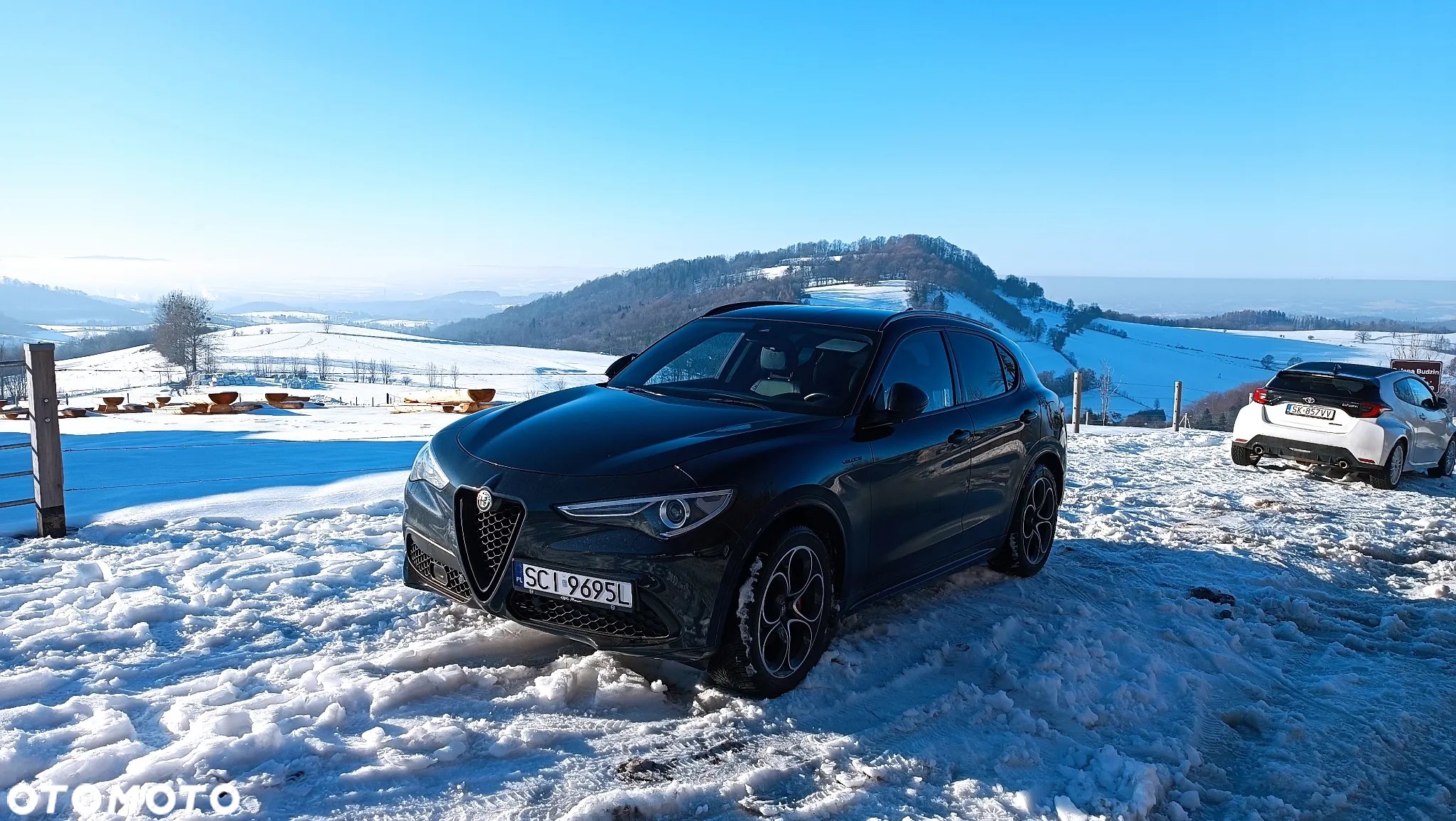 Alfa Romeo Stelvio 2.0 Turbo Veloce Q4 - 9