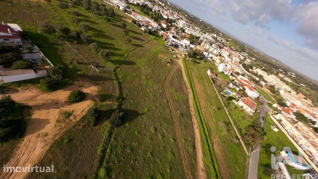 Terreno Agrícola em Ferreiras - Grande imagem: 5/14
