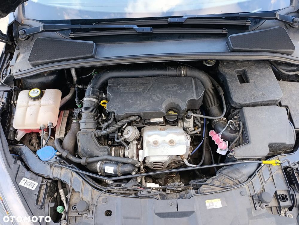 Ford Focus - 15