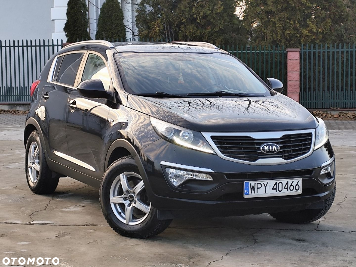 Kia Sportage - 2
