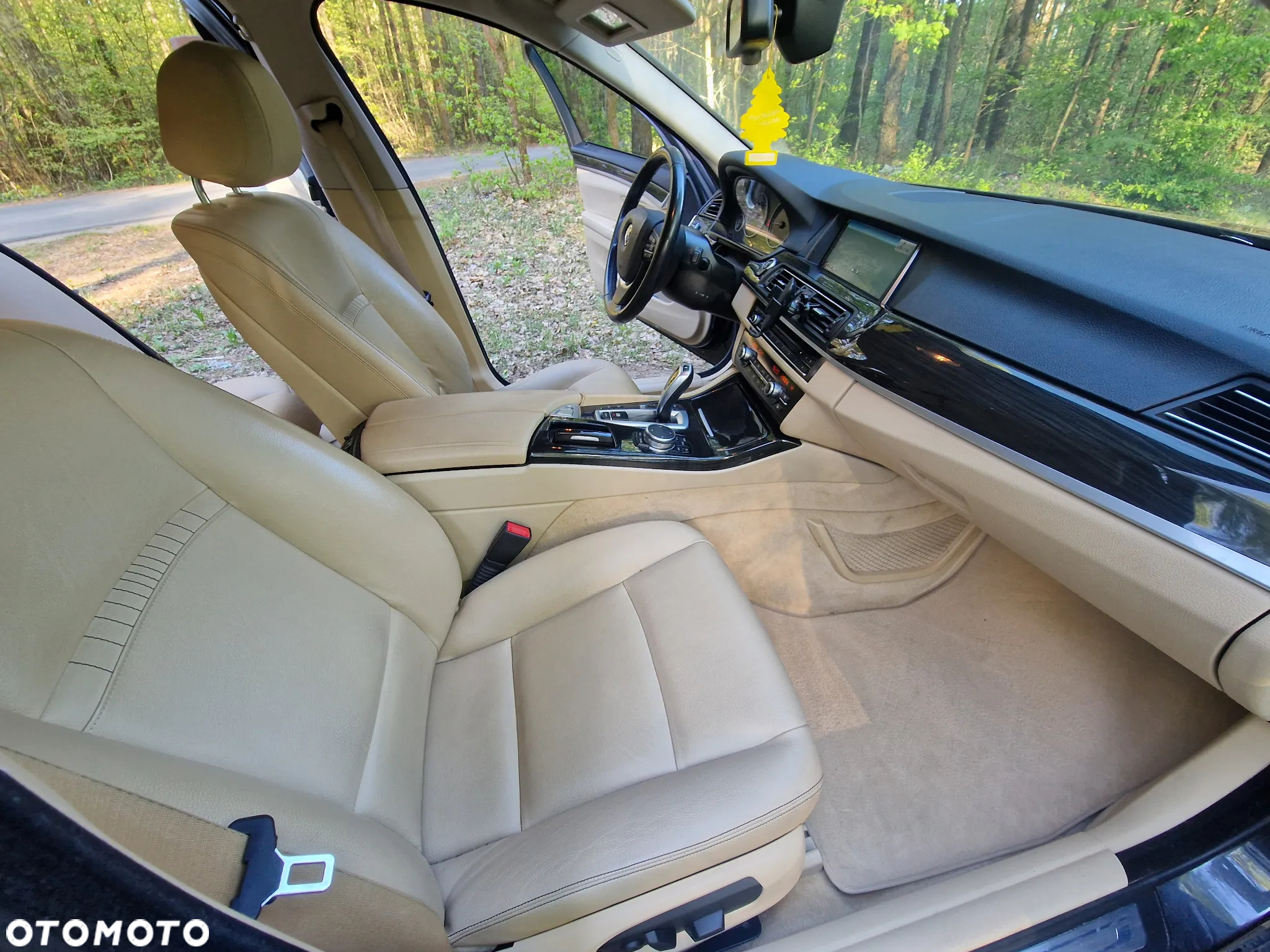 BMW Seria 5 520d Luxury Line sport - 39