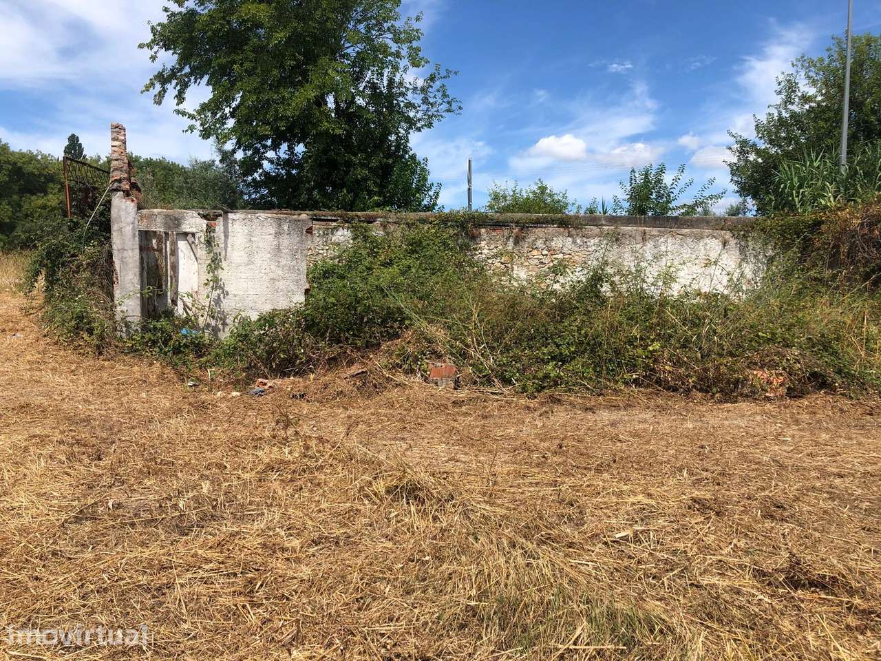 Terreno, 21 836 m², Torres Novas (Santa Maria, Salvador e Santiago) - Grande imagem: 3/4