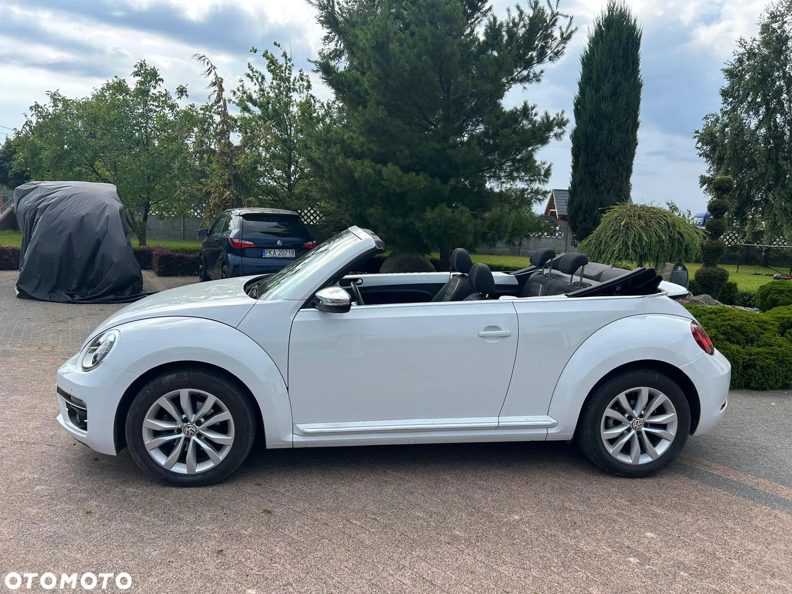 Volkswagen Beetle - 12