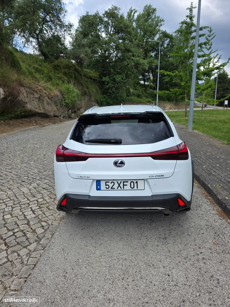 Lexus UX 250h F Sport - 14