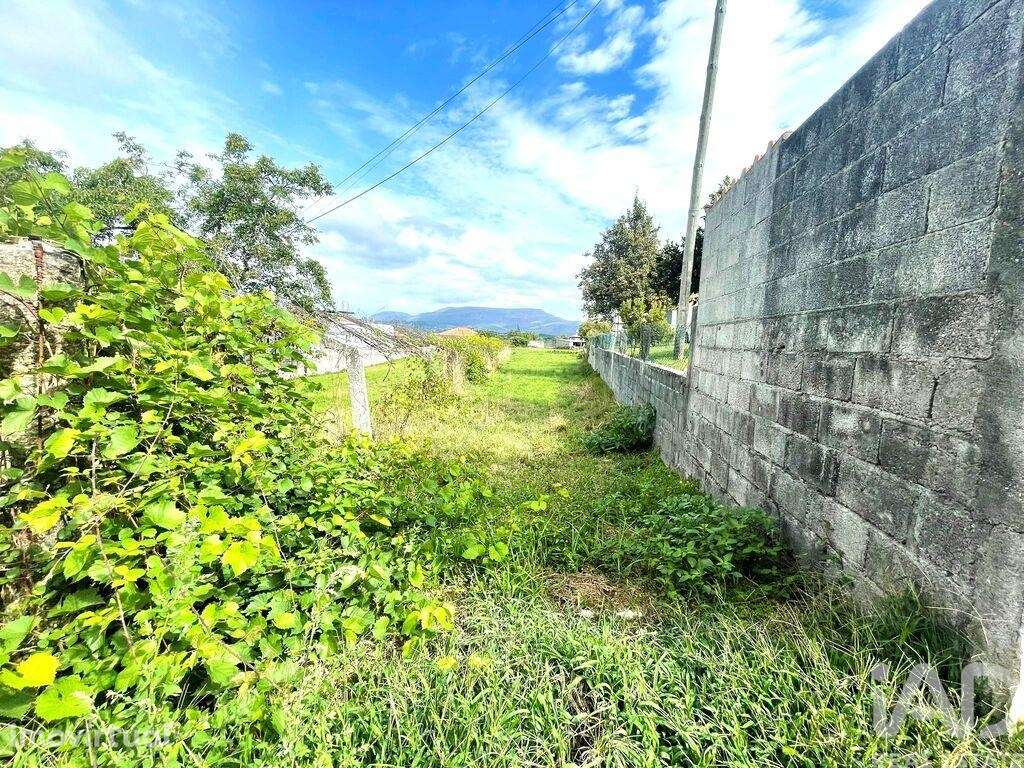 Terreno em Geraz Do Lima (Santa Maria, Santa Leocádia E Moreira) E Deã - Grande imagem: 4/4