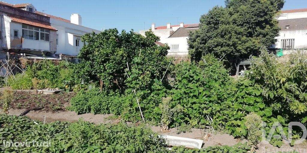 Terreno T30 em Setúbal (São Julião, Nossa Senhora da Anunciada e Santa - Grande imagem: 4/5