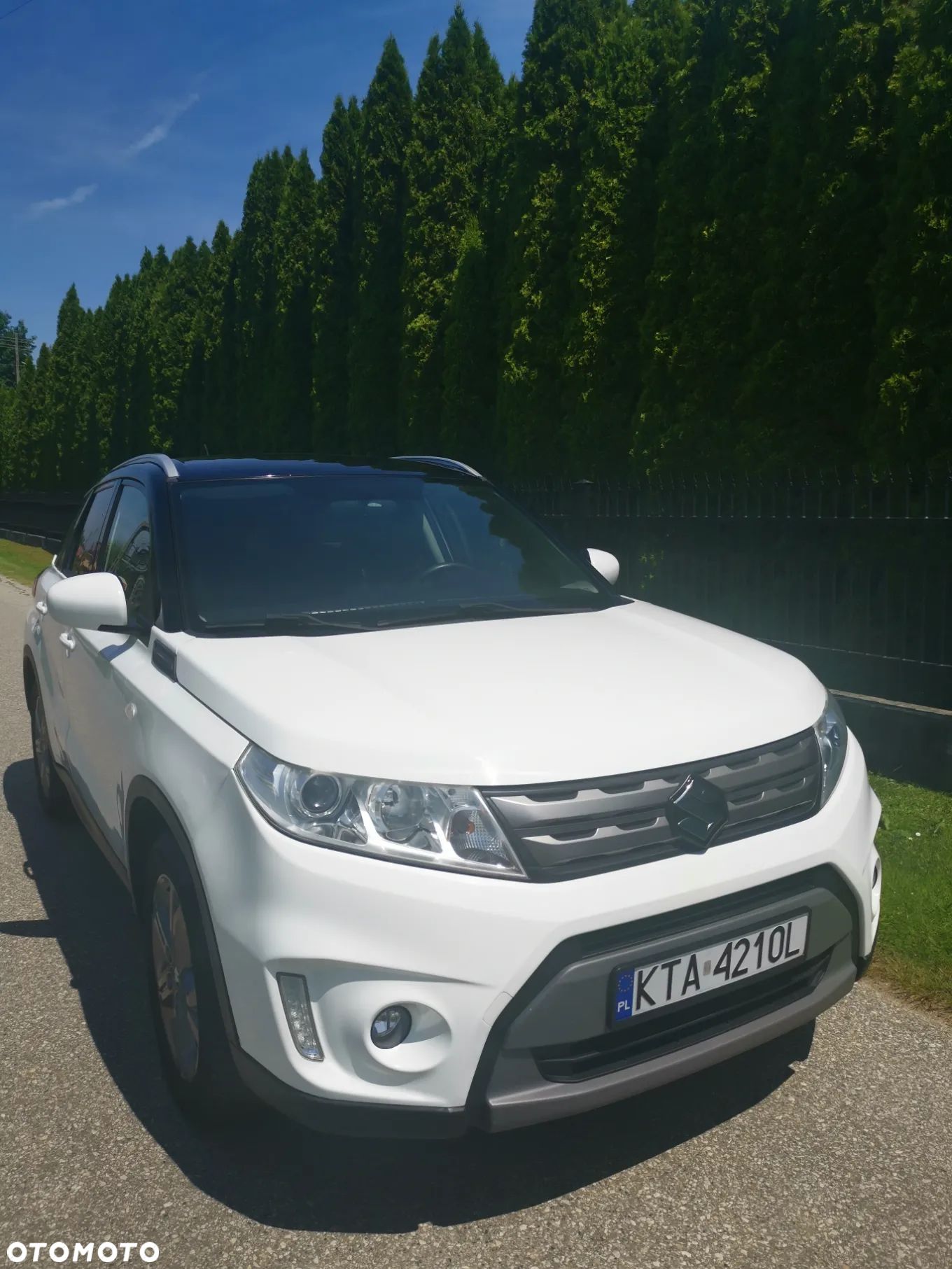 Suzuki Vitara - 1