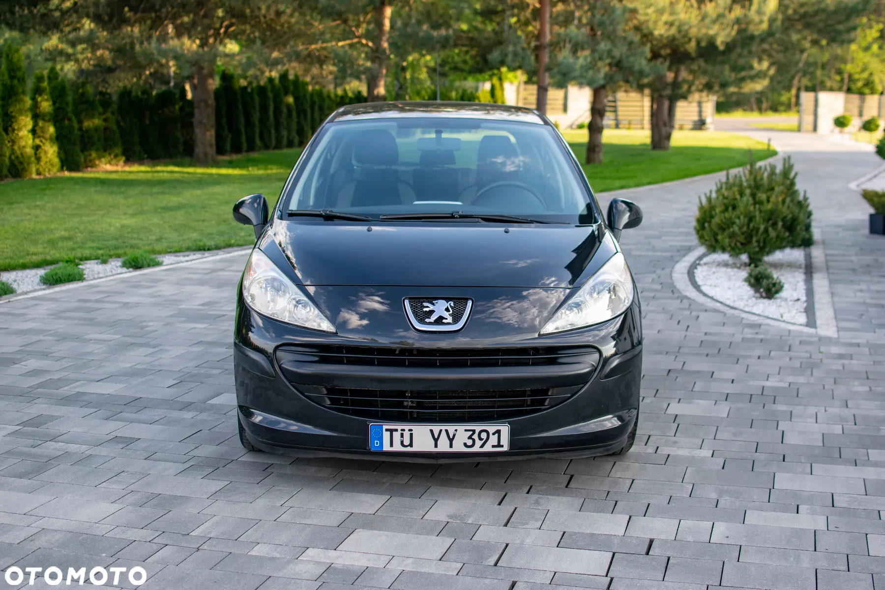 Peugeot 207 - 8