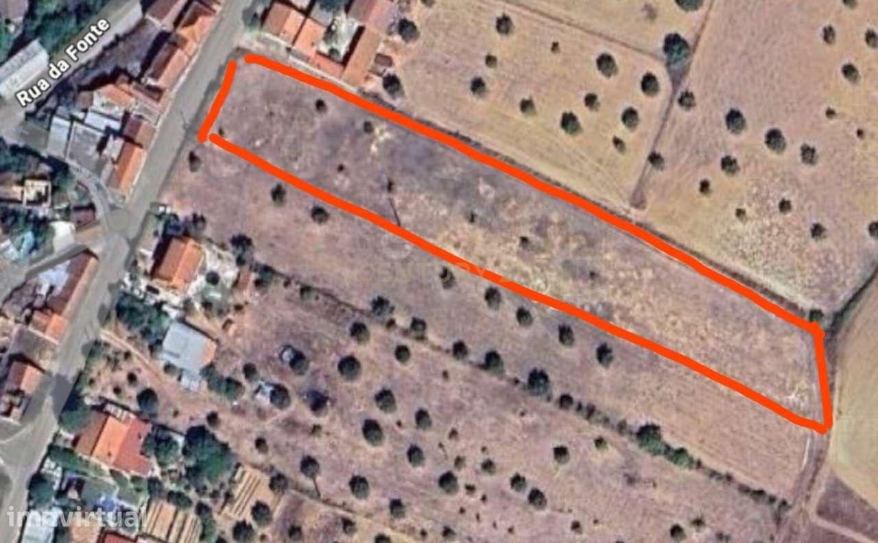 Terreno com 4.920 m² – Fonte da Pedra | Santarém - Grande imagem: 3/3