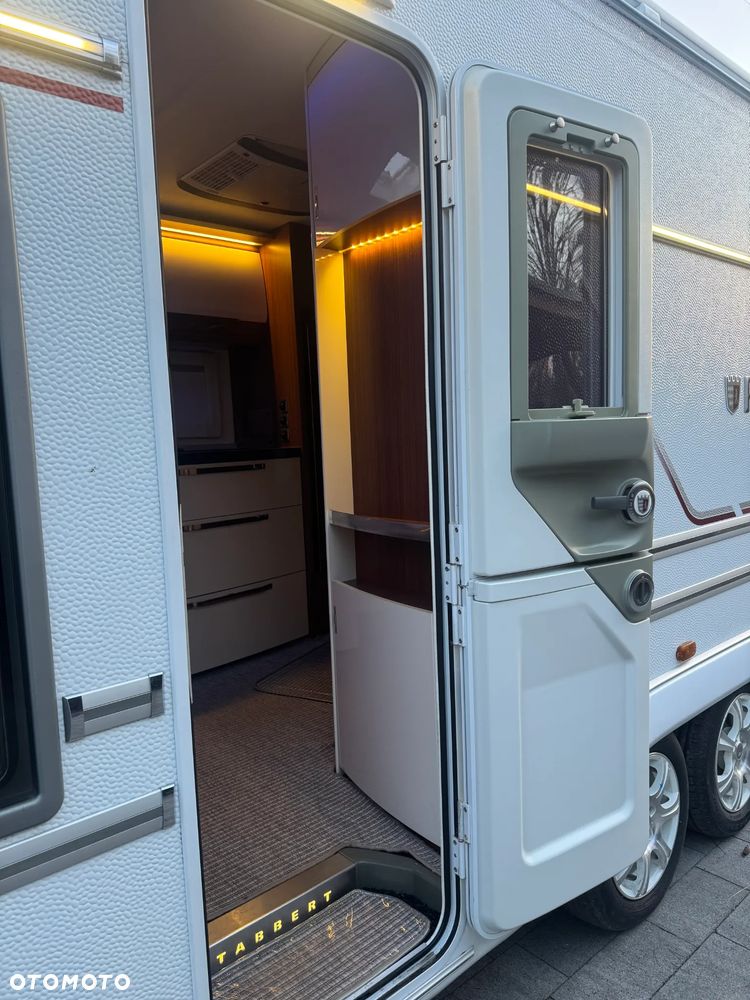 Tabbert Puccini - 10