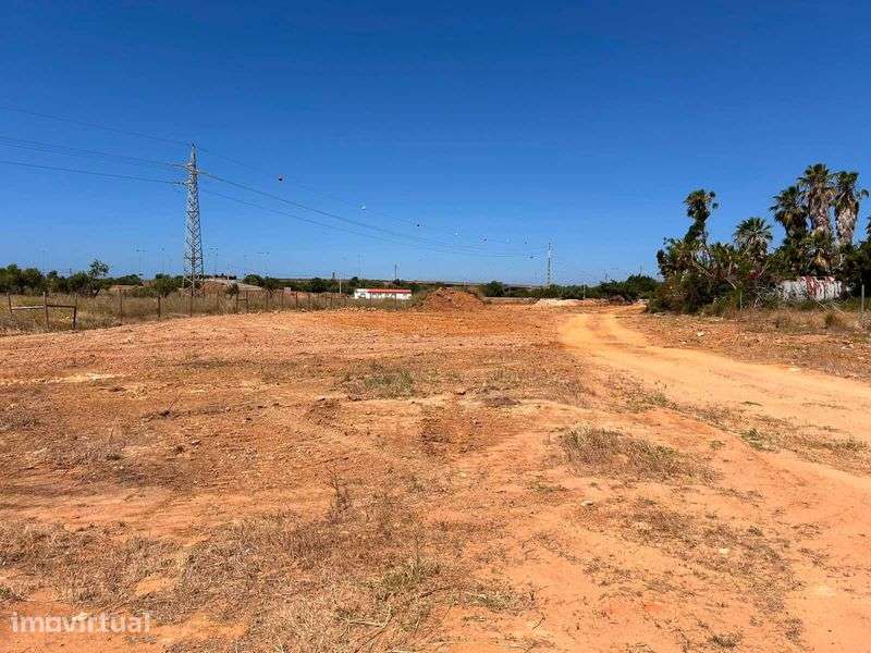 terreno com 11.620 m² em Lagoa - Grande imagem: 4/4