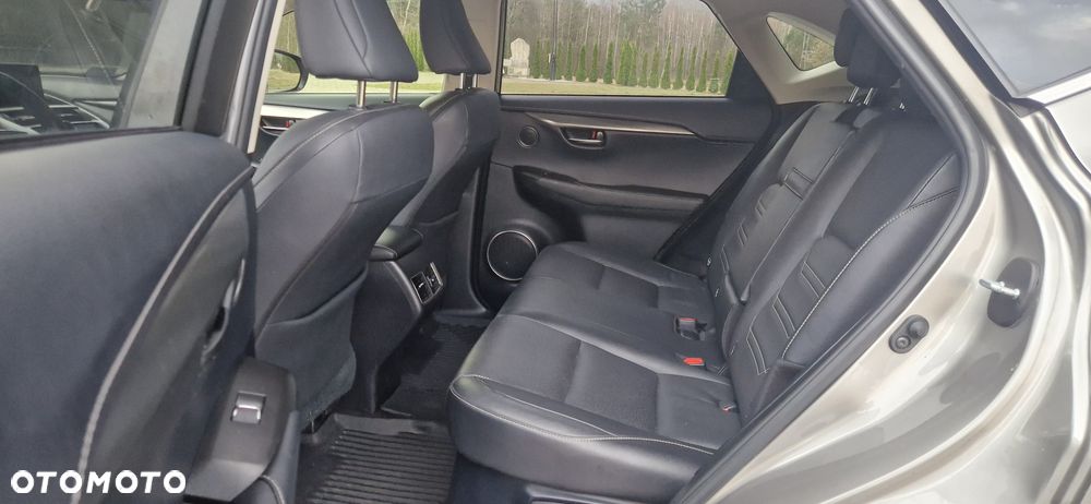 Lexus NX 300 Comfort AWD - 7