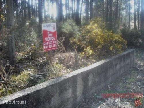 Terreno  Venda em Vieira de Leiria,Marinha Grande - Grande imagem: 5/7