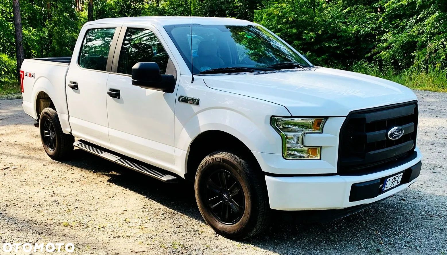 Ford F150 - 1