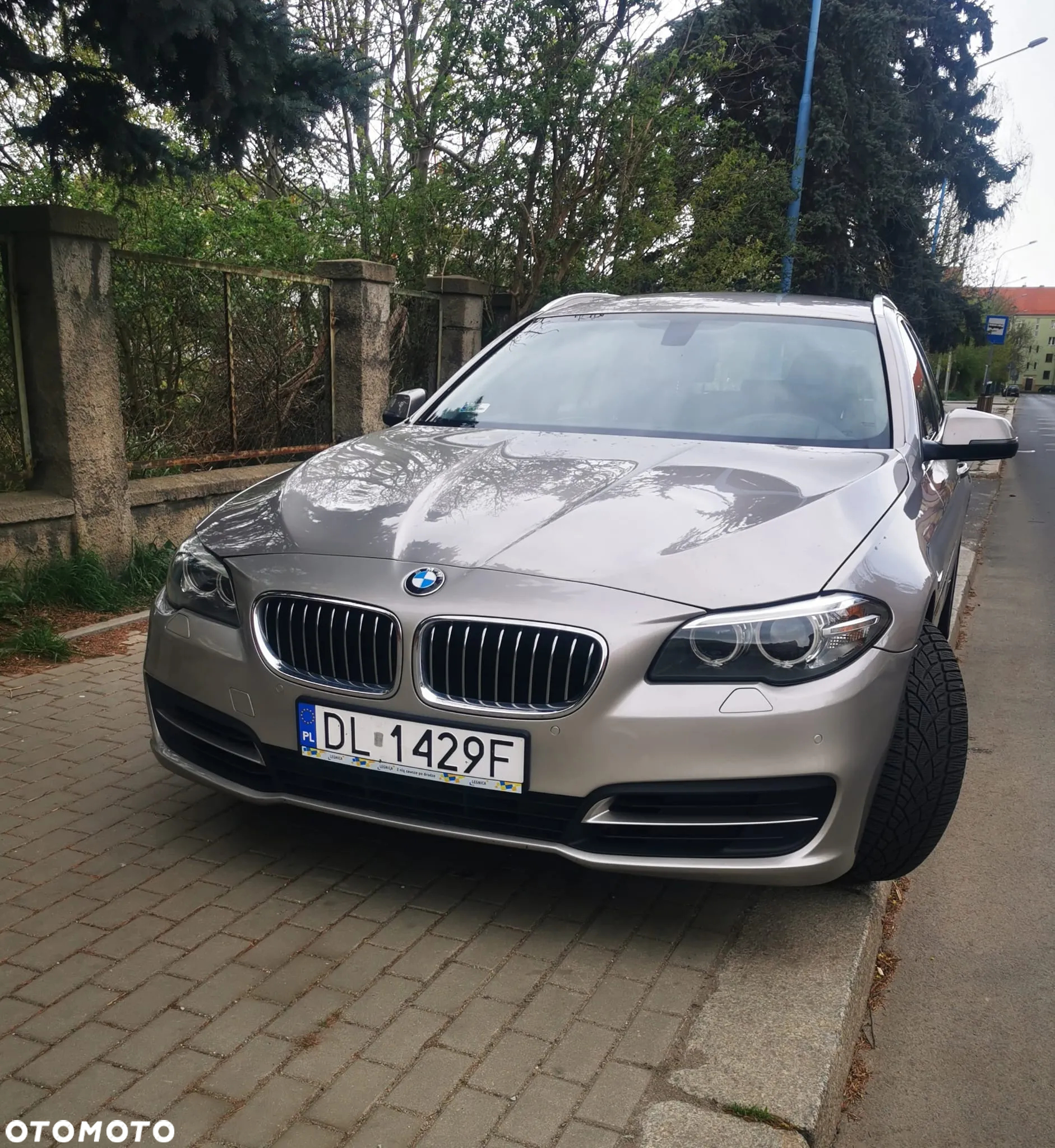 BMW Seria 5 - 20