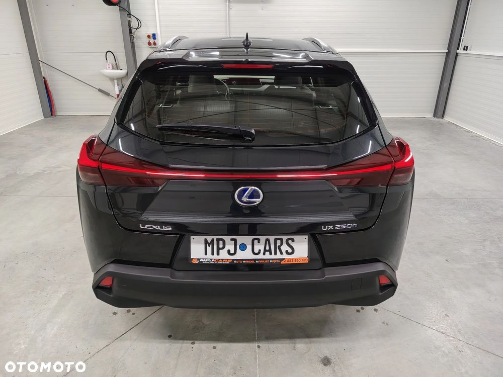 Lexus UX 250h Elegance 2WD - 11