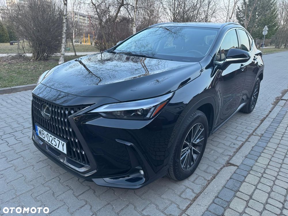 Lexus NX - 2