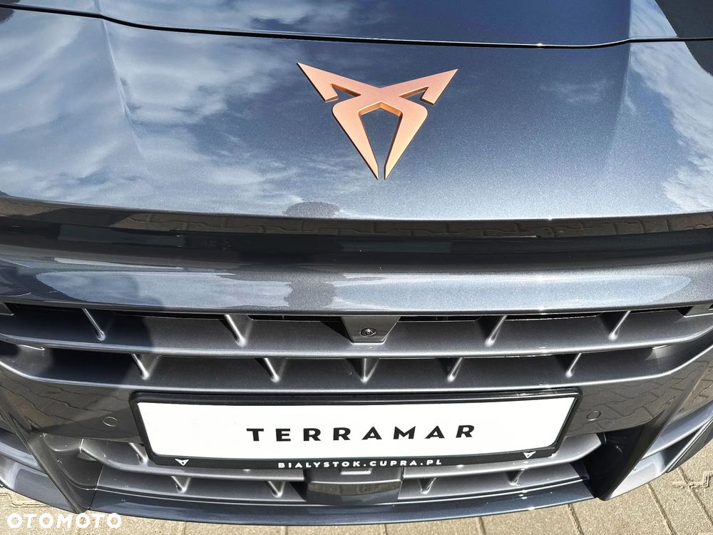 Cupra Terramar 2.0 TSI 4Drive Advantage Edition Copper DSG - 21