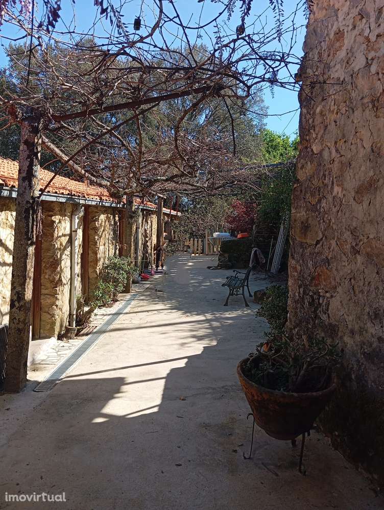 EXCLUSIVO - Magnífica quinta com moradia T2 em Palmaz, Oliveira de Aze - Grande imagem: 2/41