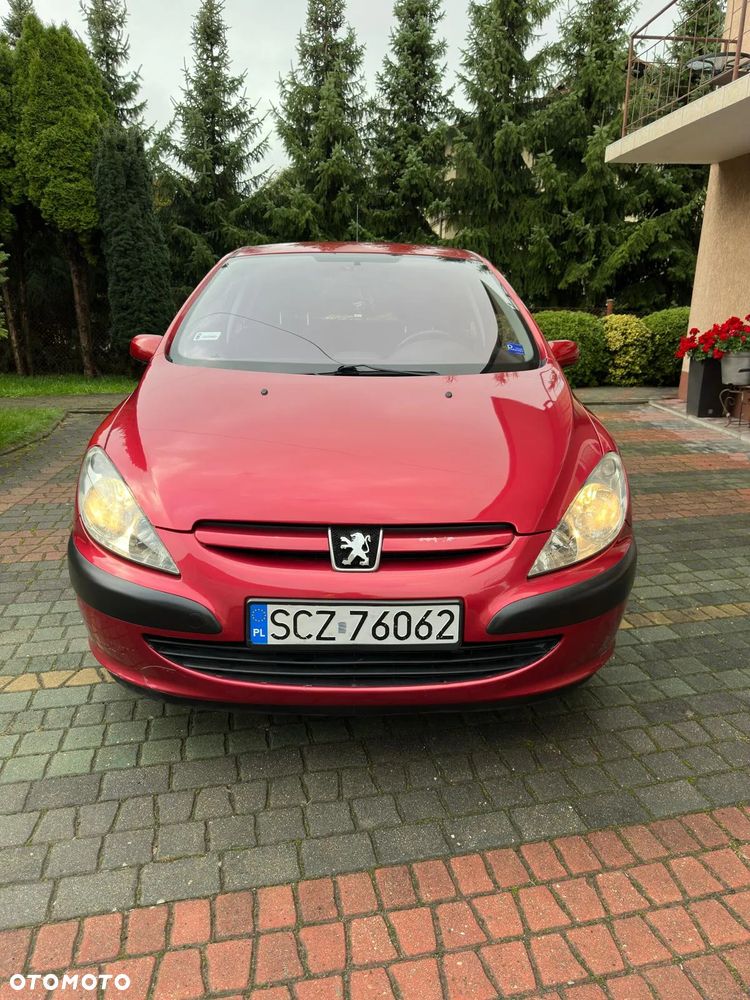 Peugeot 307 1.6 XS - 2
