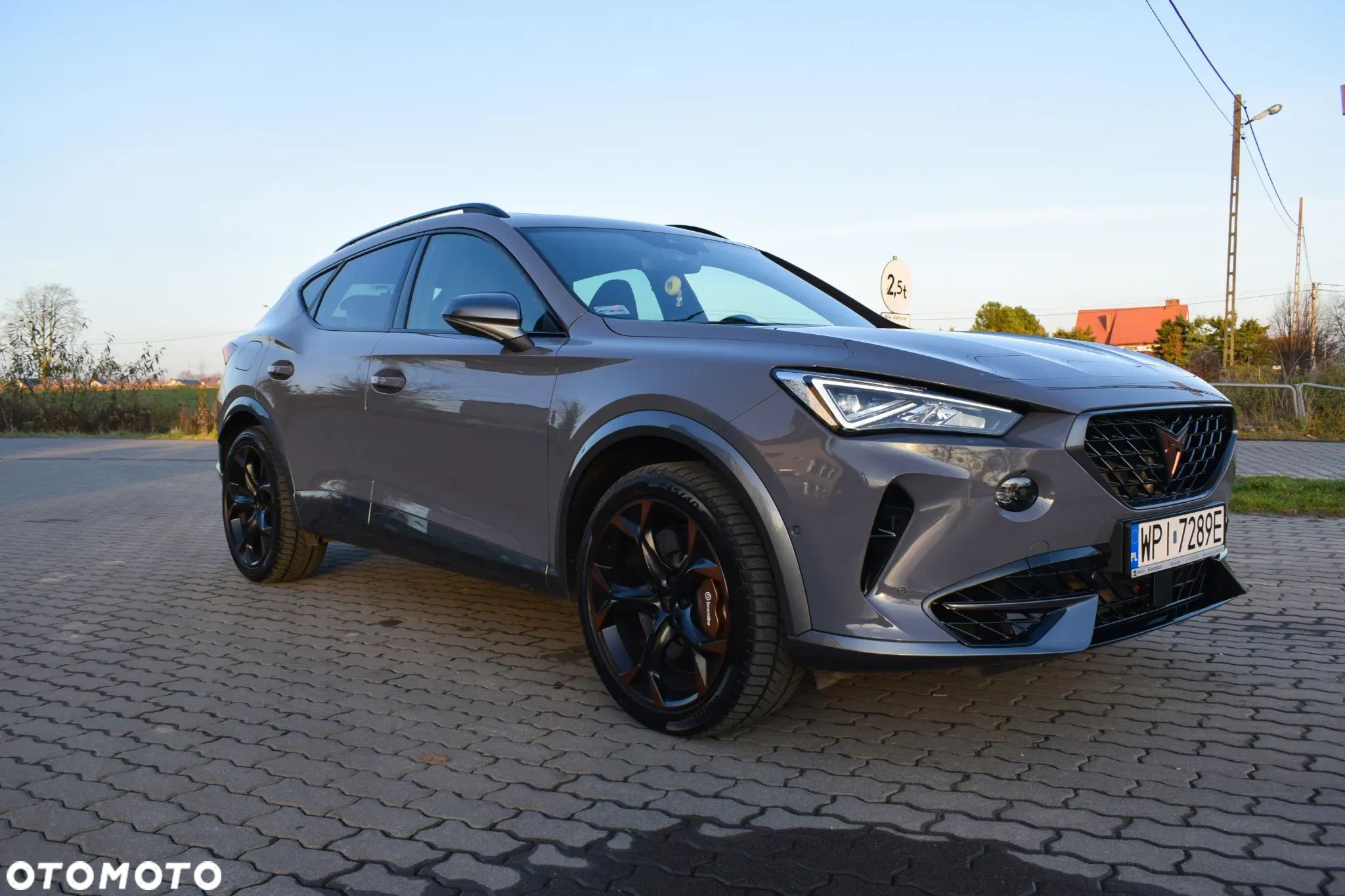 Cupra Formentor - 1