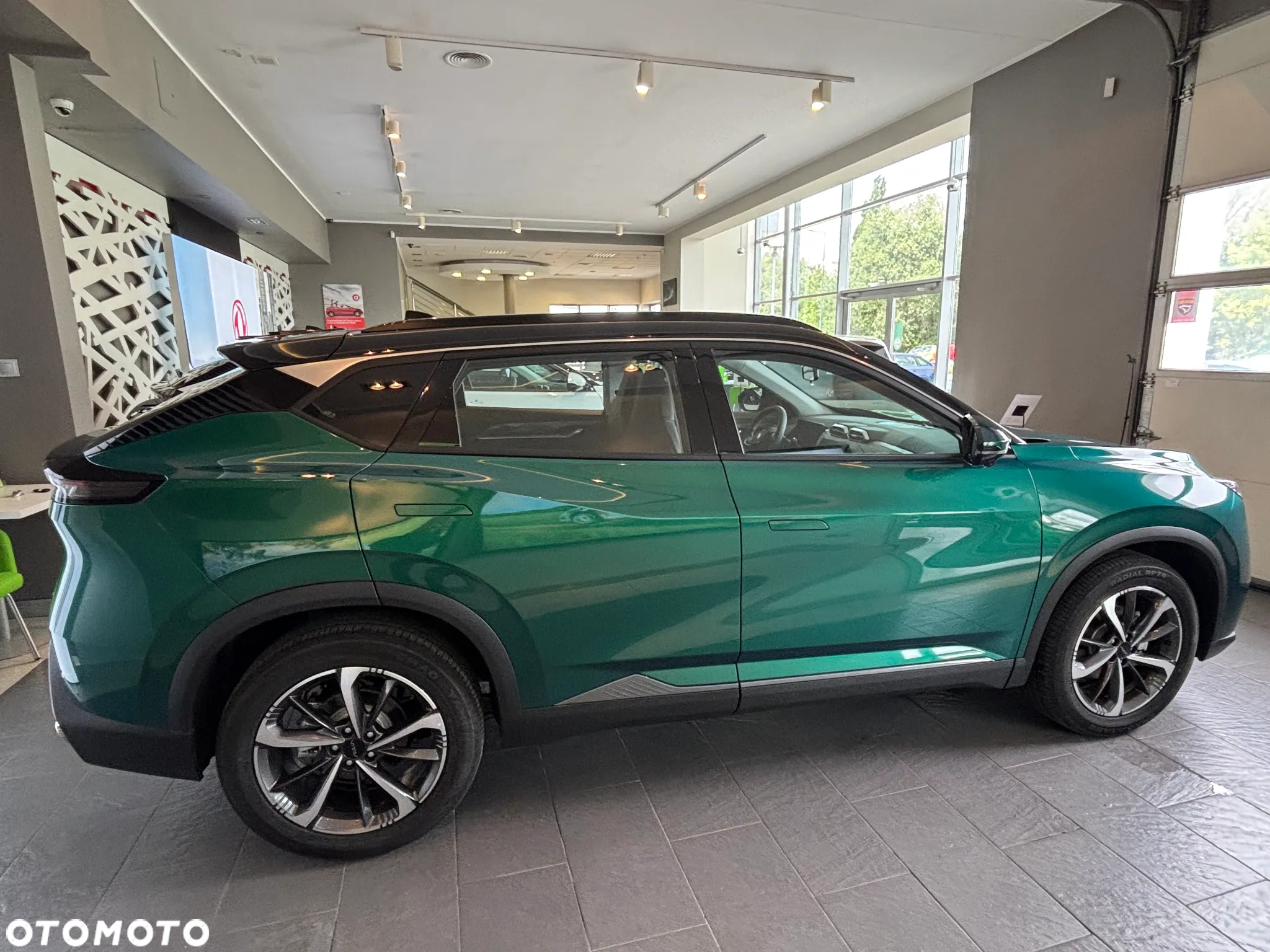 Dongfeng Mage - 9