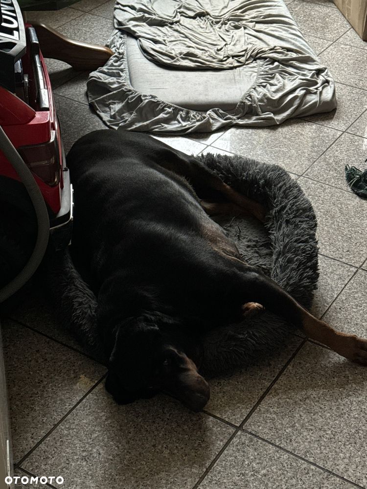 Jeep Commander 3.0 CRD Limited - 7