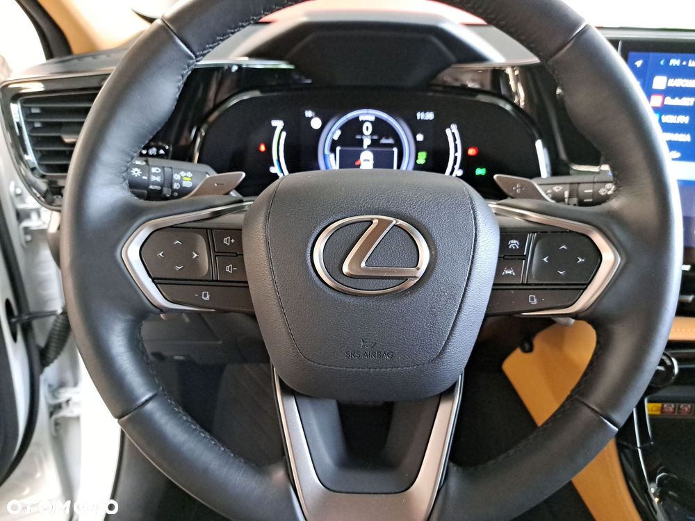 Lexus NX - 31