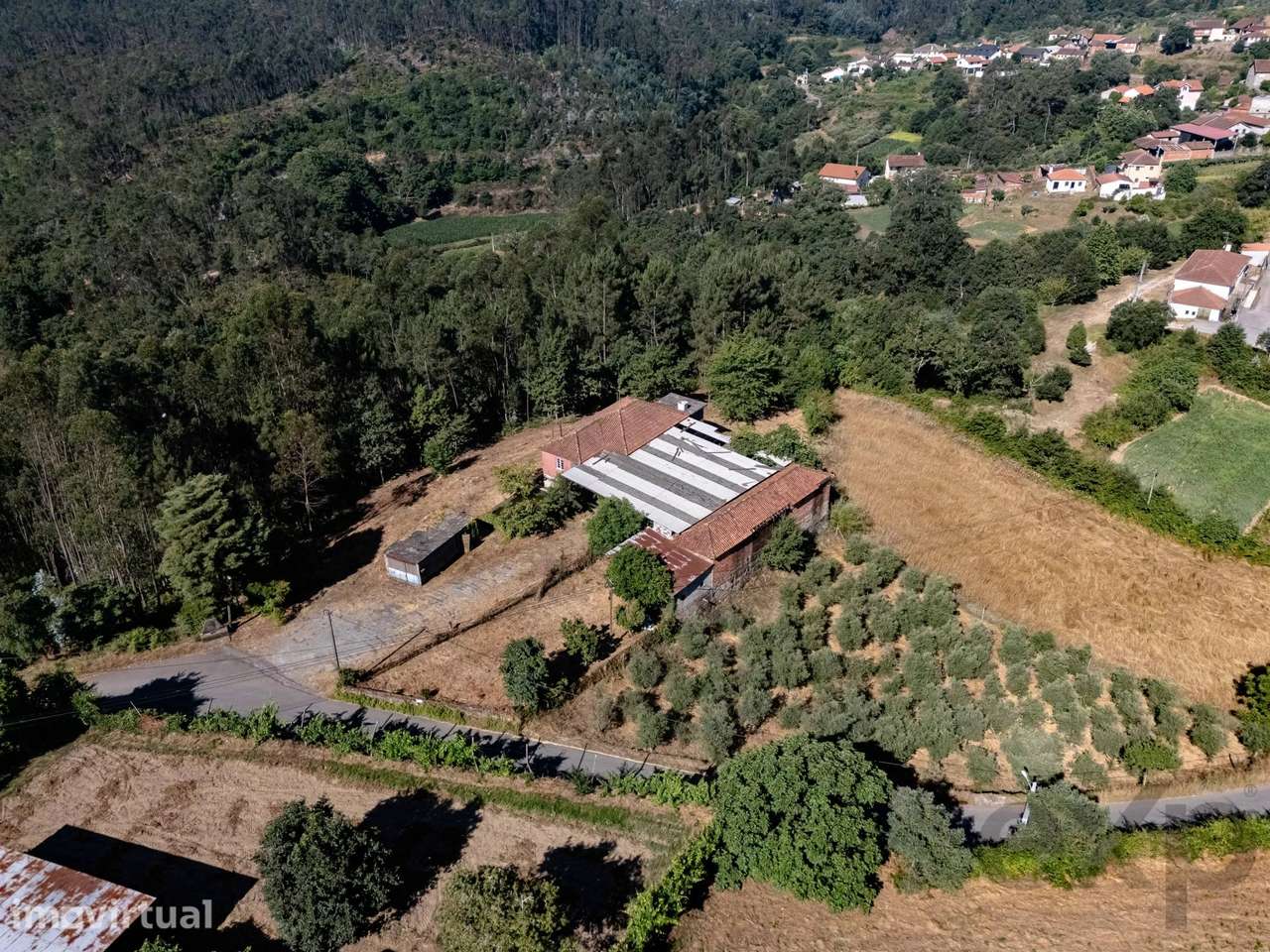 Quinta com Moradia T5 e 4 400 m² em Mortágua - Grande imagem: 4/33