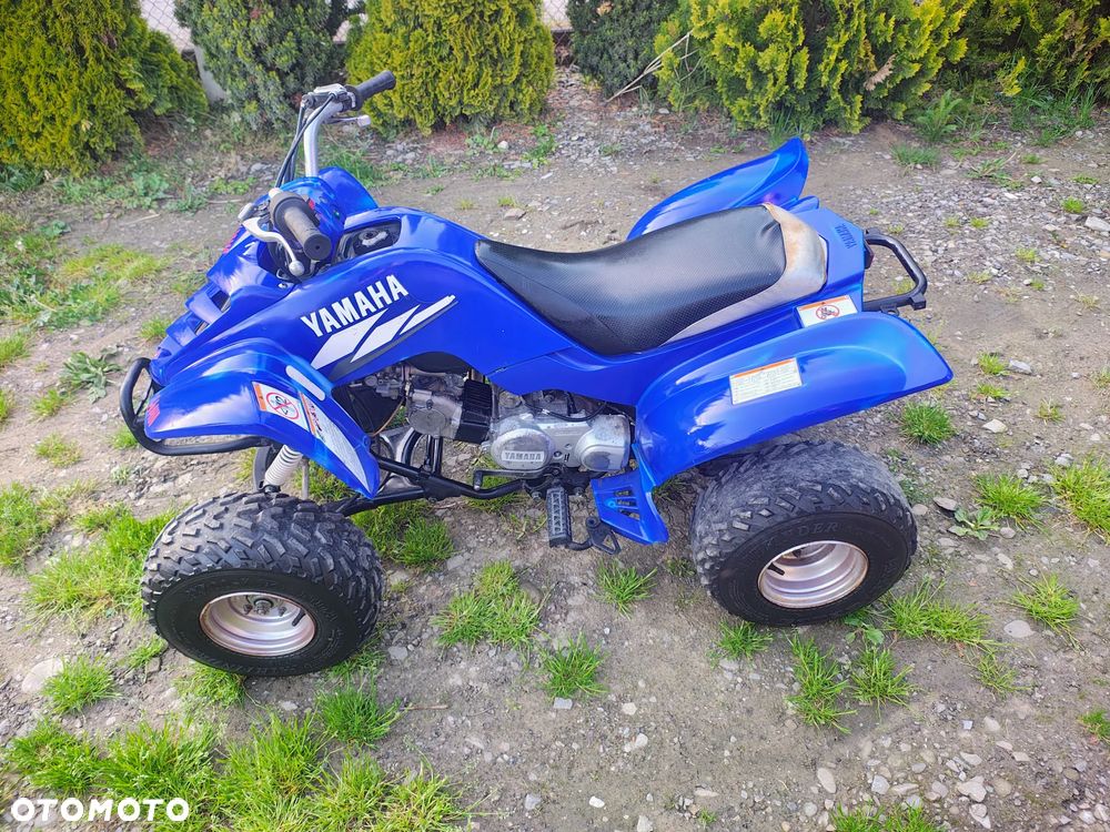 Yamaha Raptor - 9