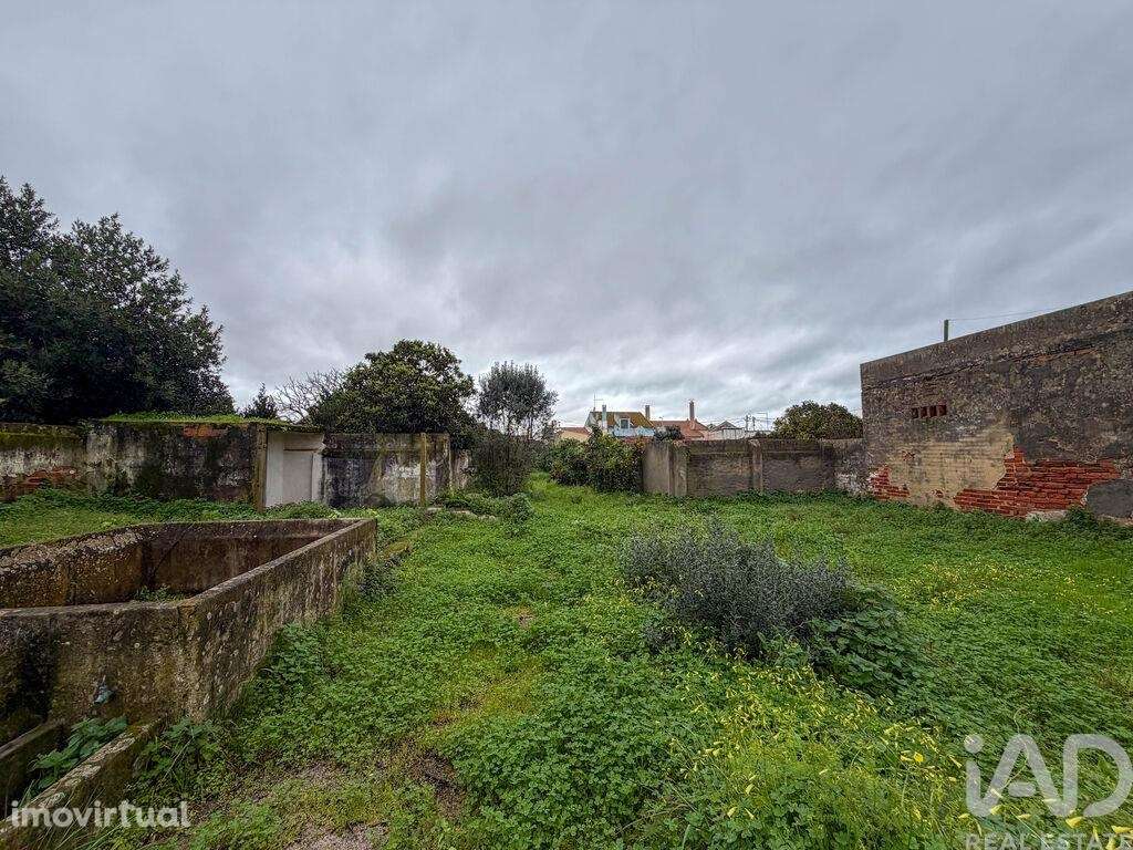 Moradia térrea em Benfica do Ribatejo - Grande imagem: 4/36