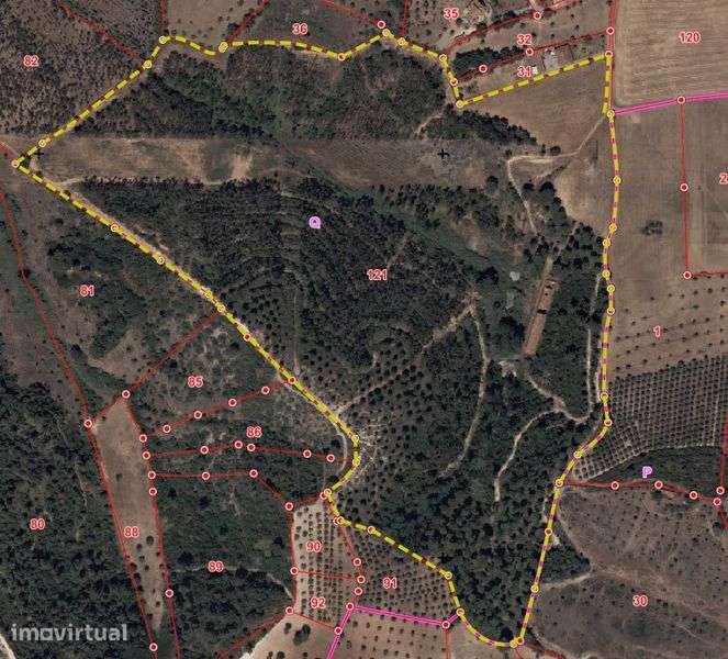 Quinta Urbano + Rústico - Vale Verde - Tremês - Santarém 19,5ha - Grande imagem: 2/10