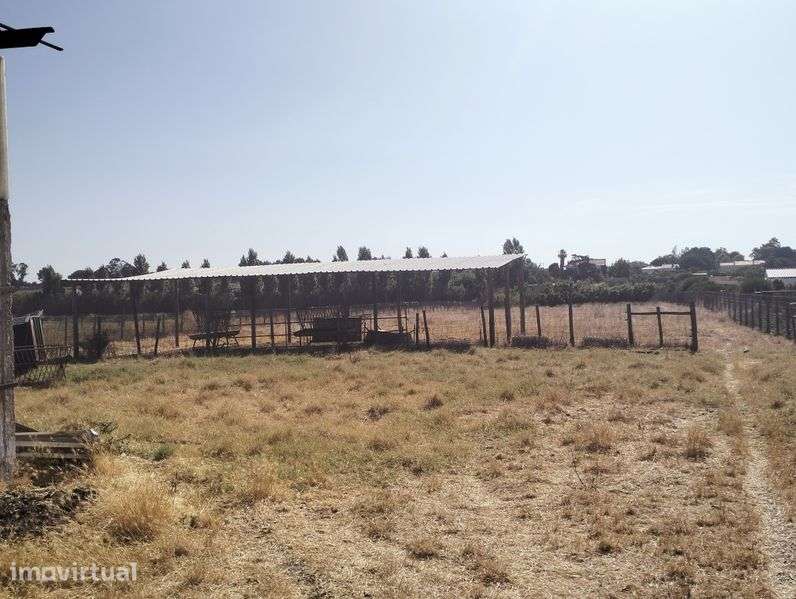 Alugar terreno com armazens - Grande imagem: 2/4