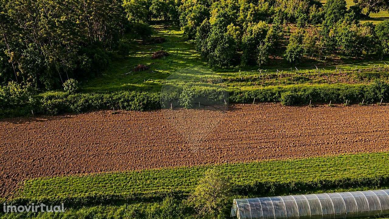 Terreno  para venda - Grande imagem: 3/10