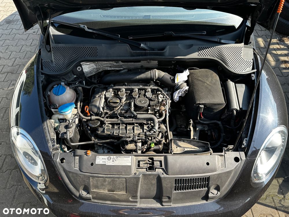 Volkswagen Beetle - 24