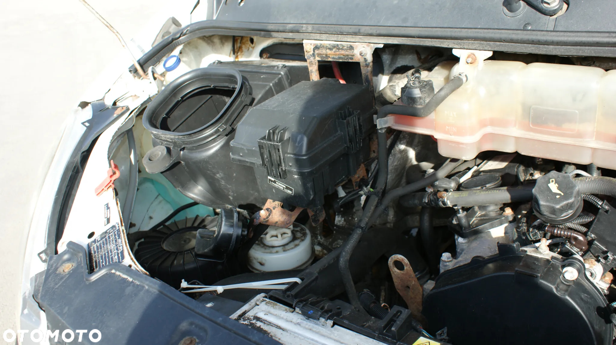 Iveco Daily - 14