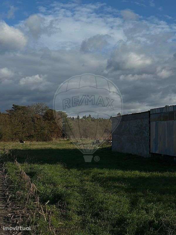 Terreno  para venda - Grande imagem: 4/6