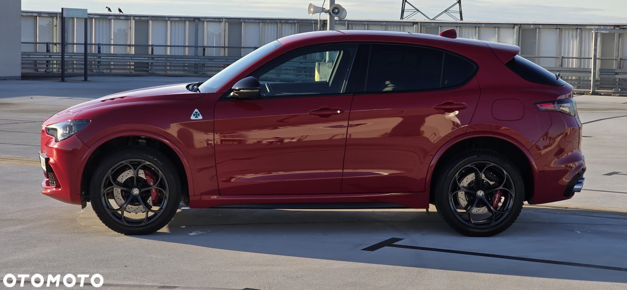 Alfa Romeo Stelvio 2.9 V6 Bi-Turbo Quadrifoglio Q4 - 11