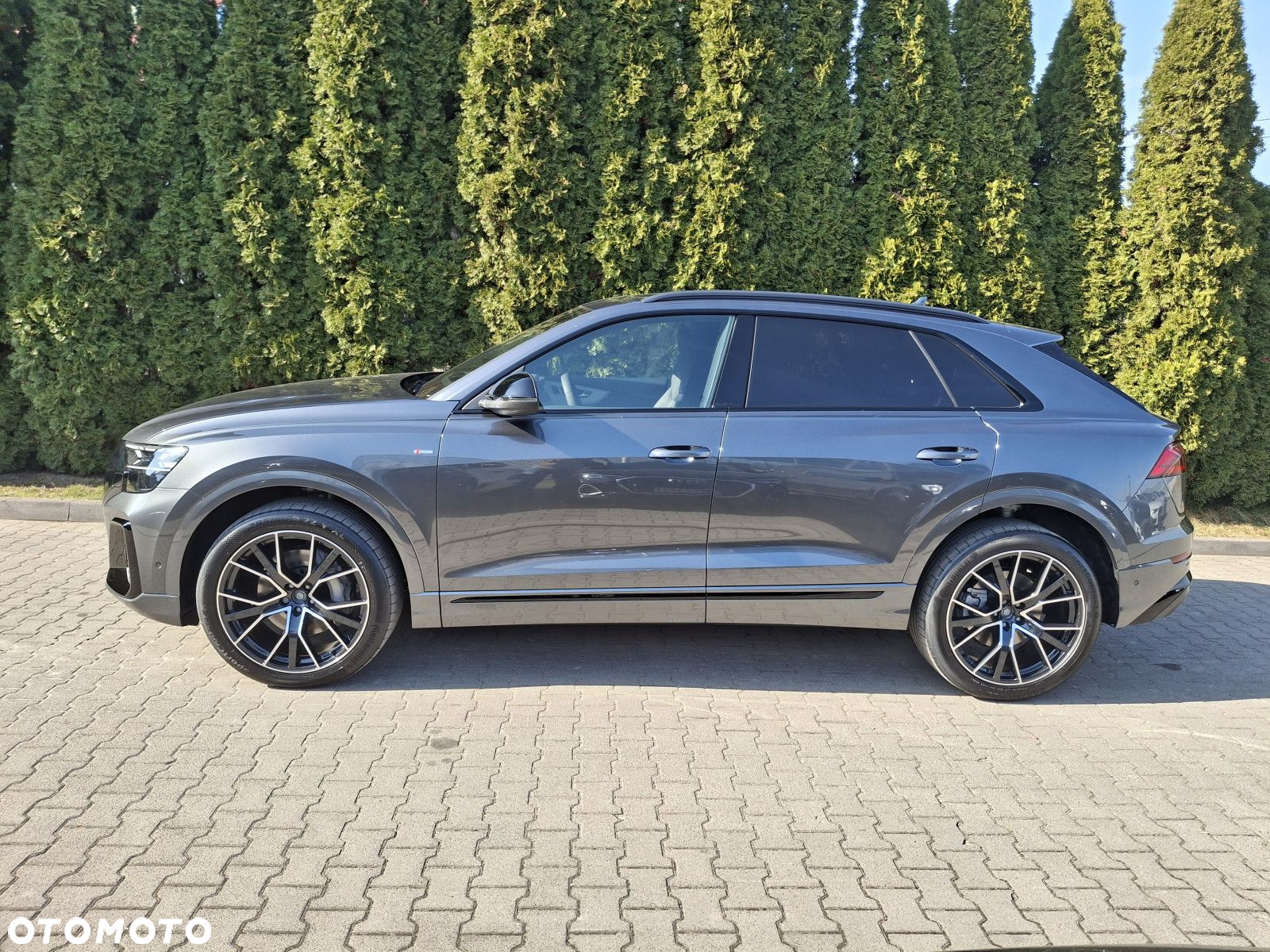 Audi Q8 - 3