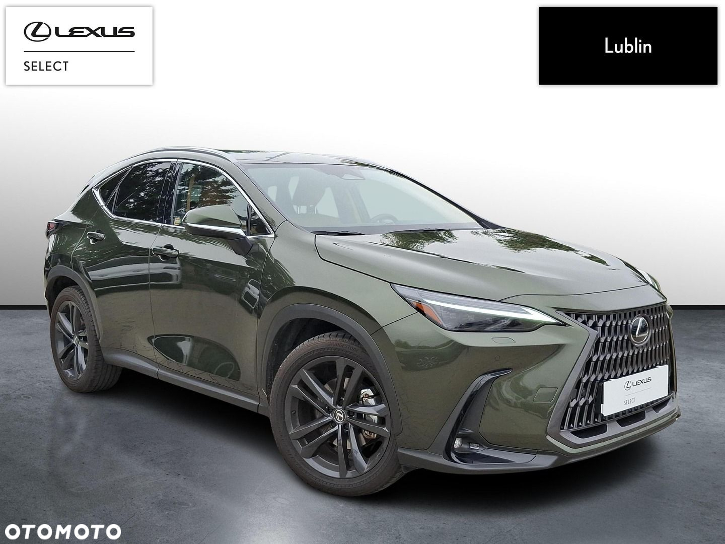 Lexus NX 350h Prestige AWD - 5