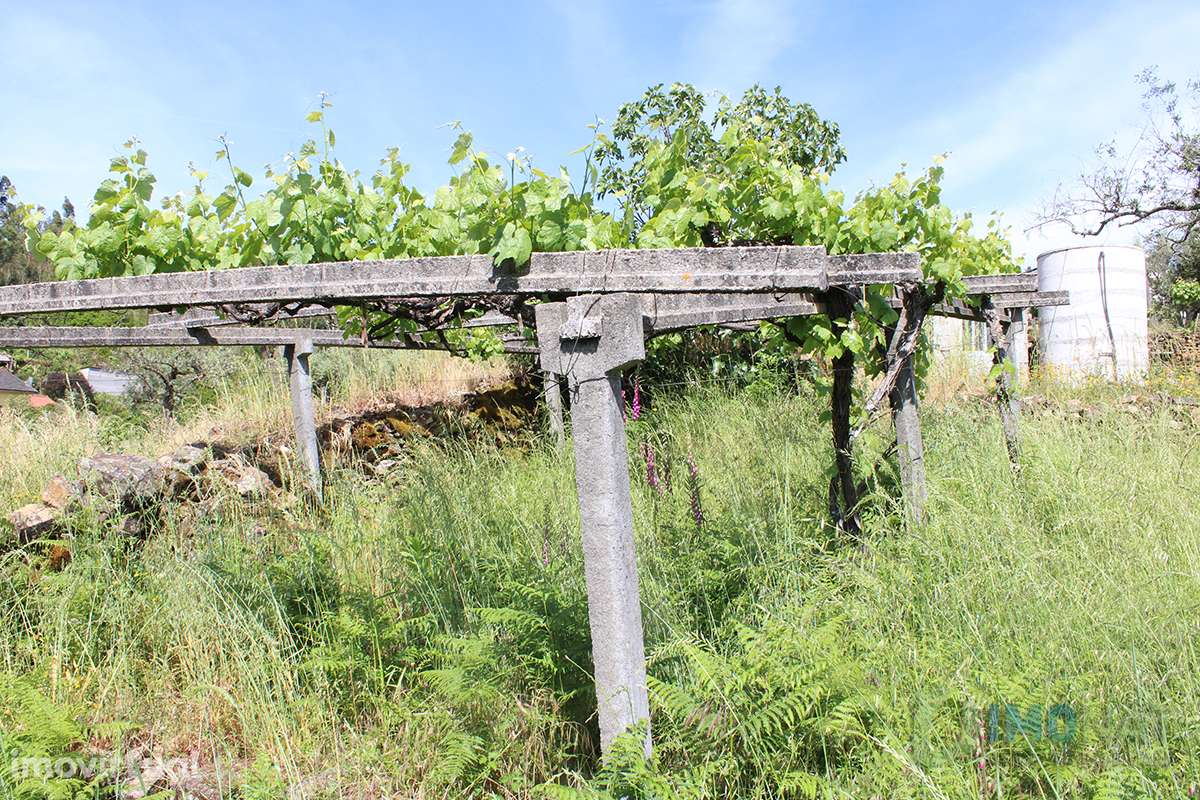 Quinta - Grande imagem: 4/42