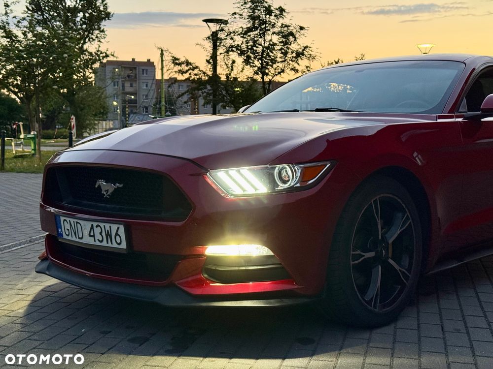 Ford Mustang - 21
