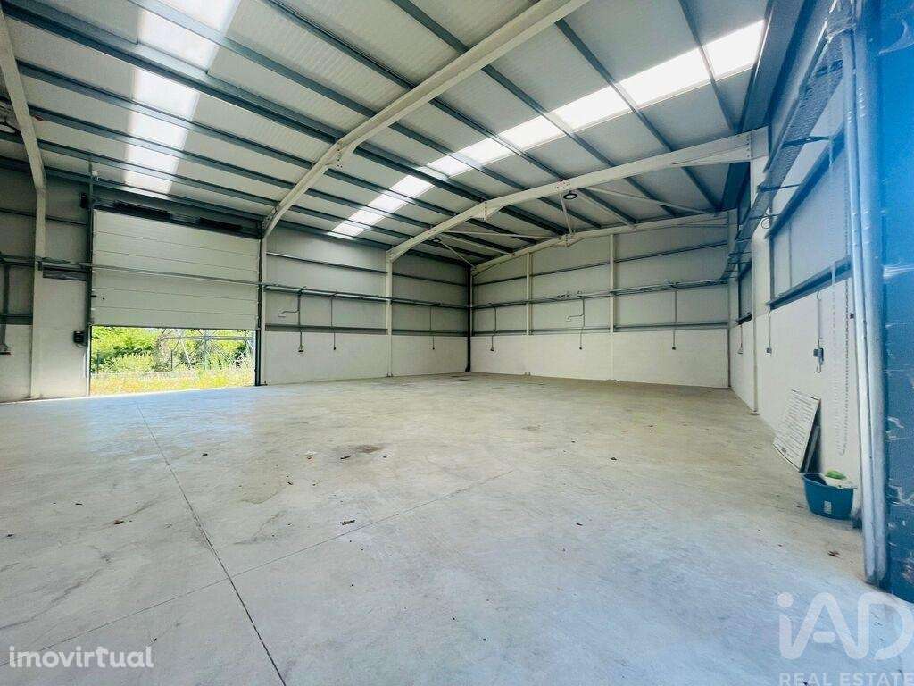 Loja / Estabelecimento Comercial em Mujães de 361,00 m2 - Grande imagem: 5/7