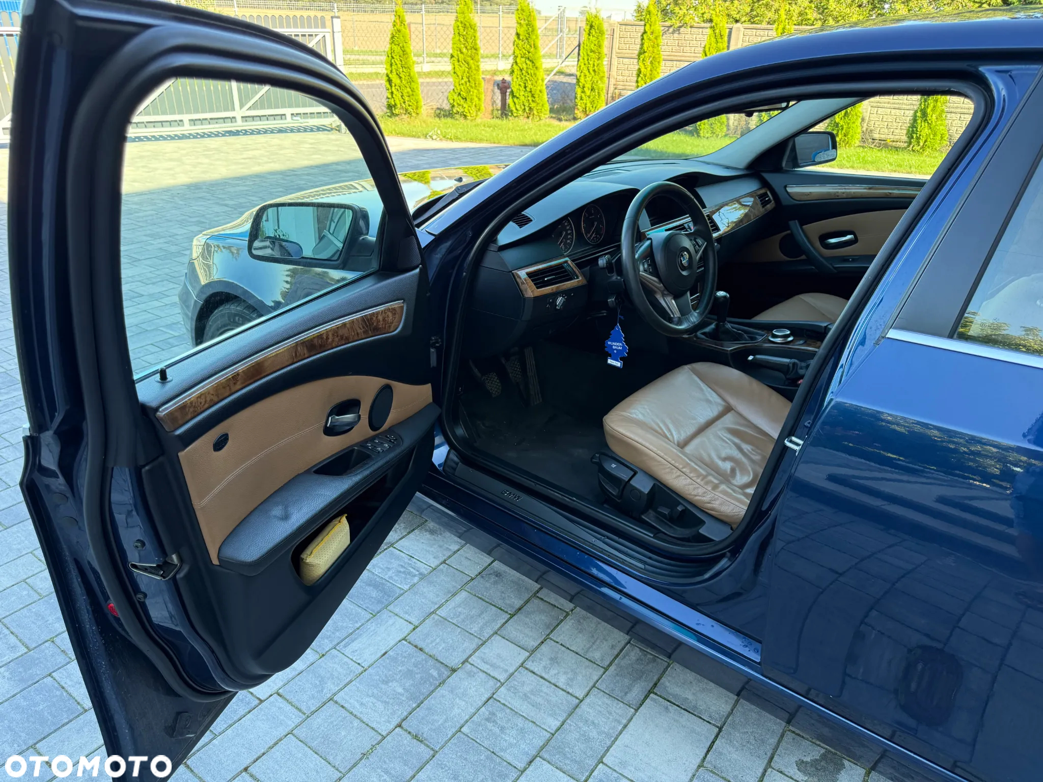 BMW Seria 5 530d - 19