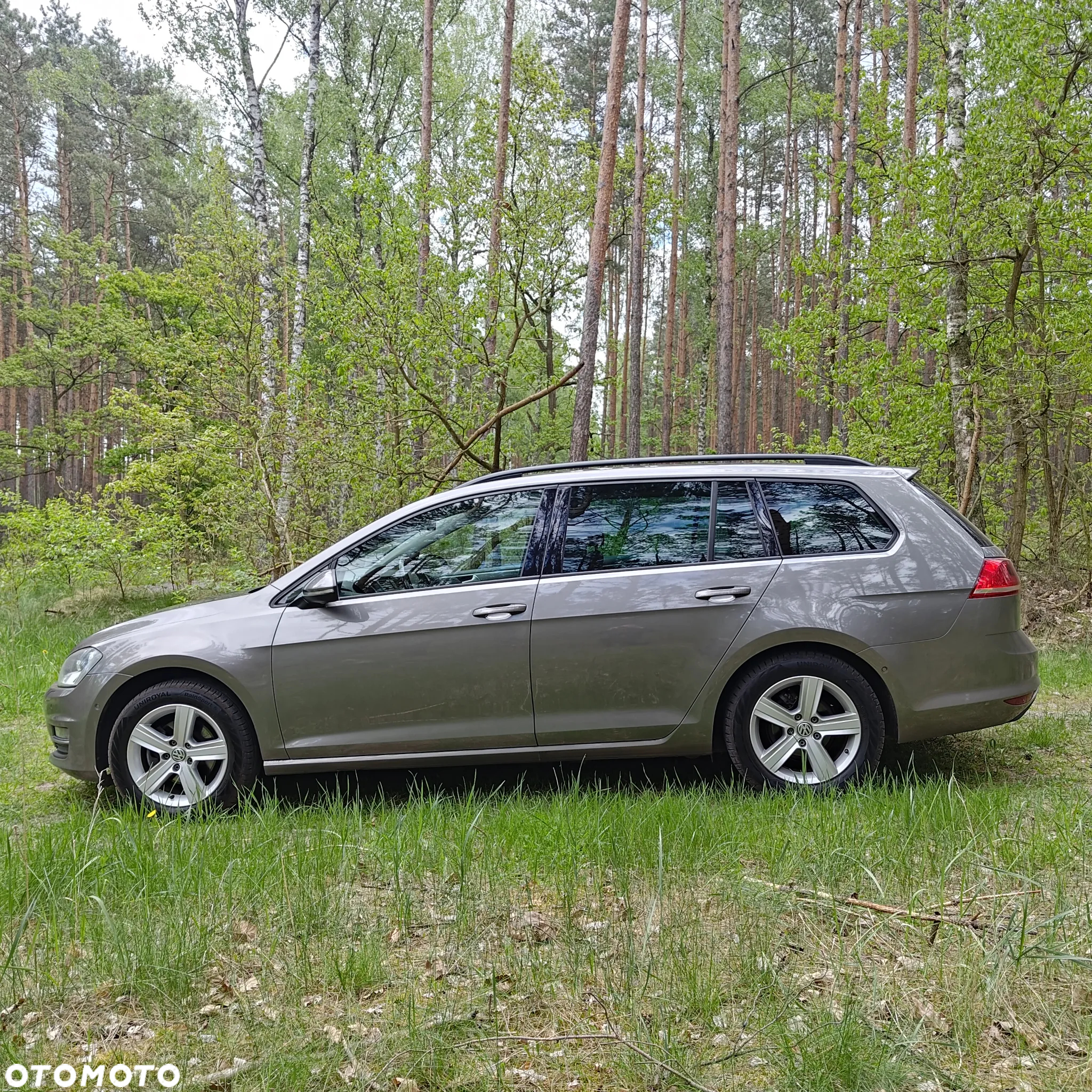 Volkswagen Golf - 8